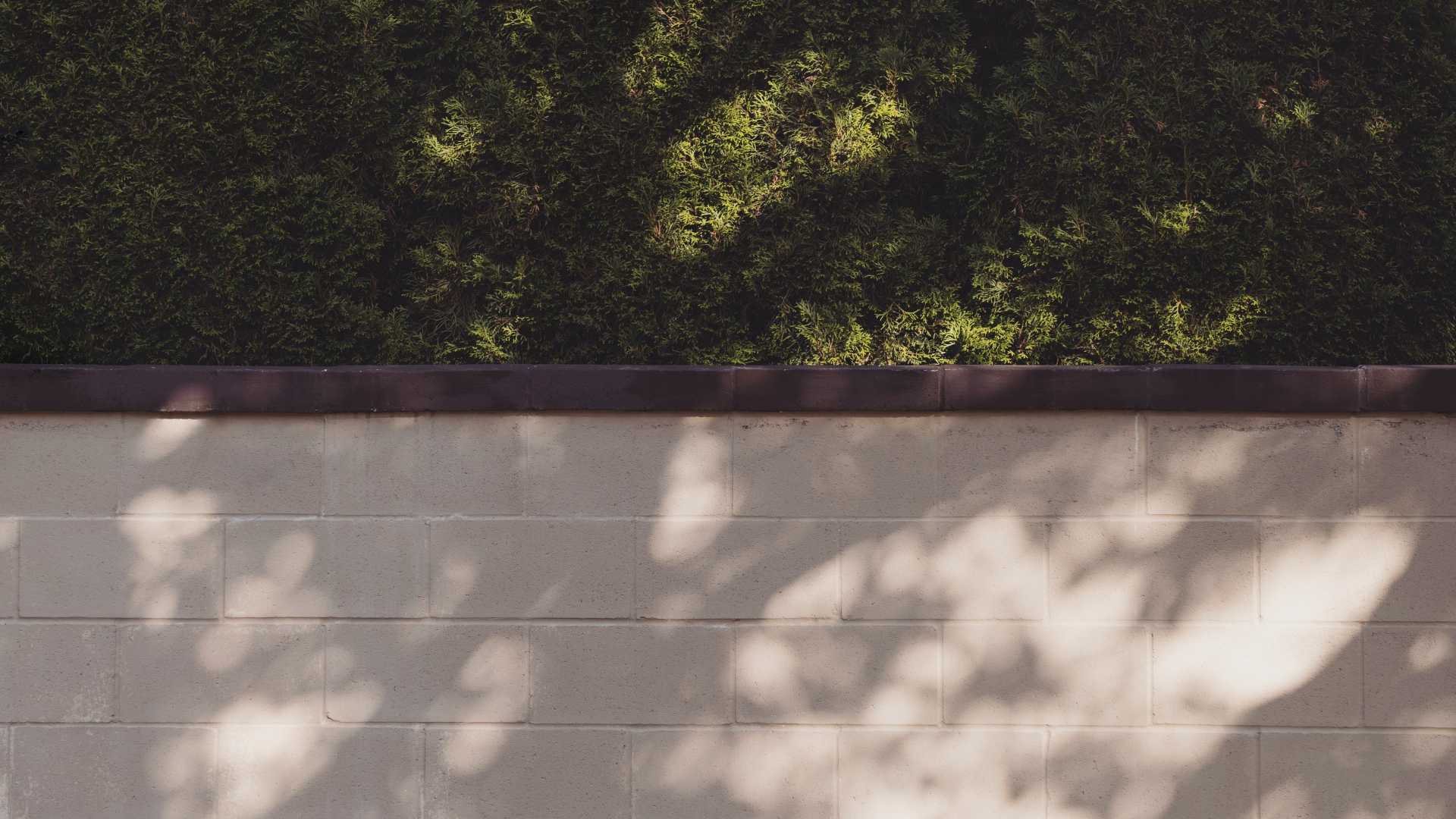 Revêtement pour béton et murs